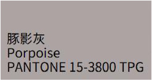 豚影灰 Porpoise